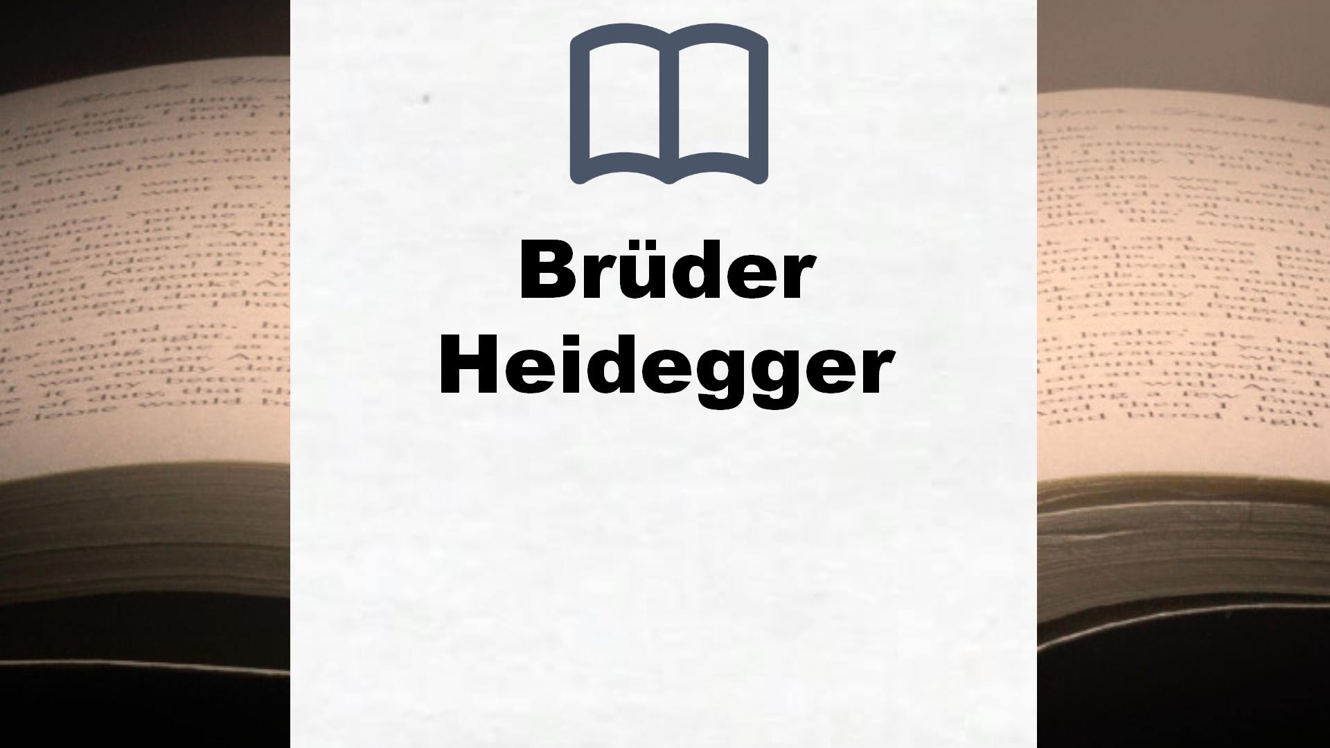 Bücher über Brüder Heidegger