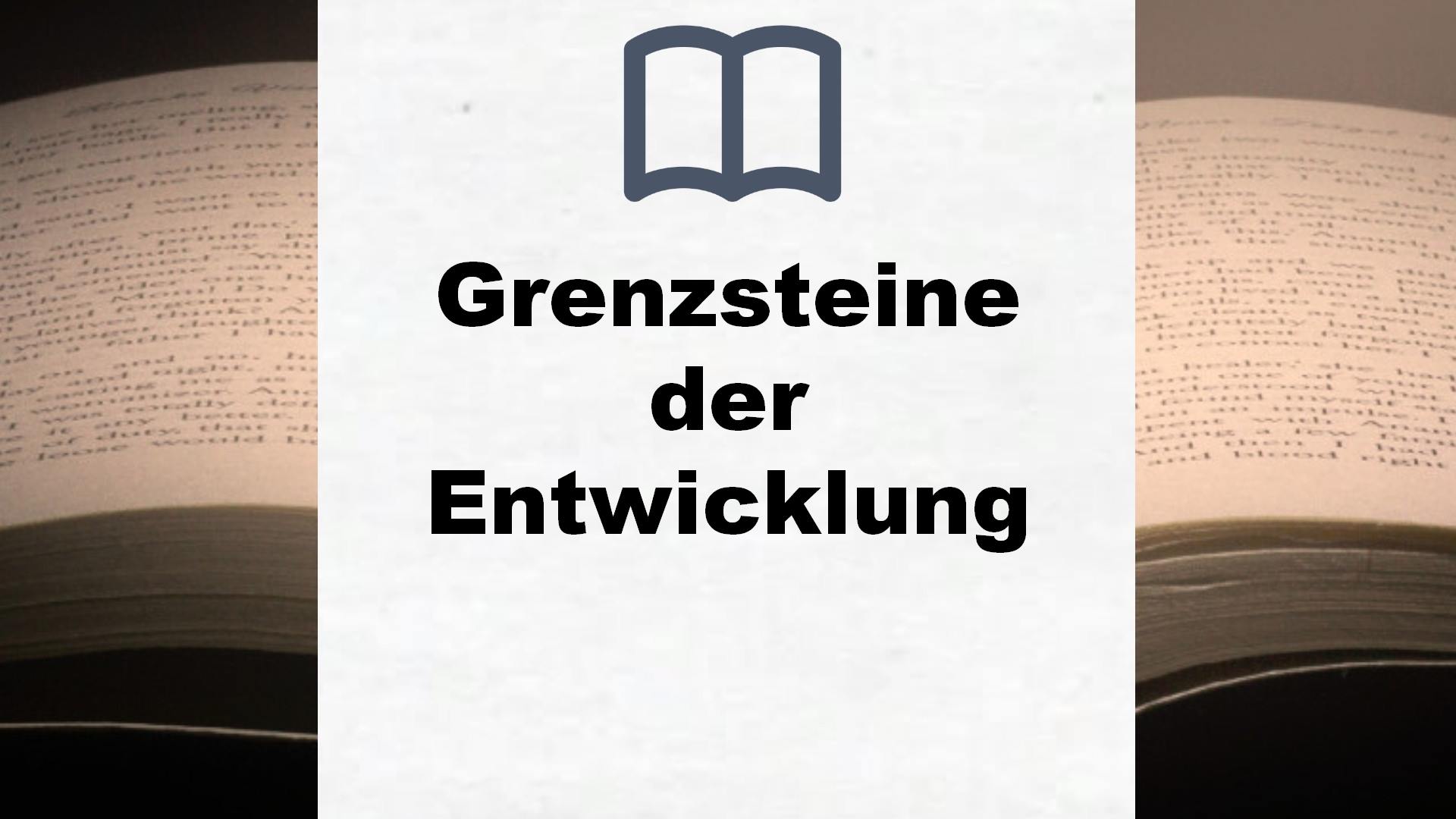 Bücher über Grenzsteine der Entwicklung