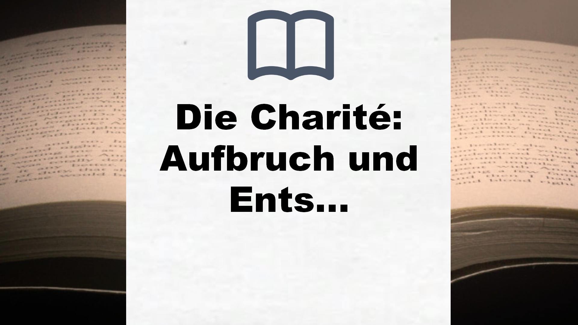Die Charité: Aufbruch und Entscheidung: Historischer Roman (Die Charité-Reihe, Band 2) – Buchrezension