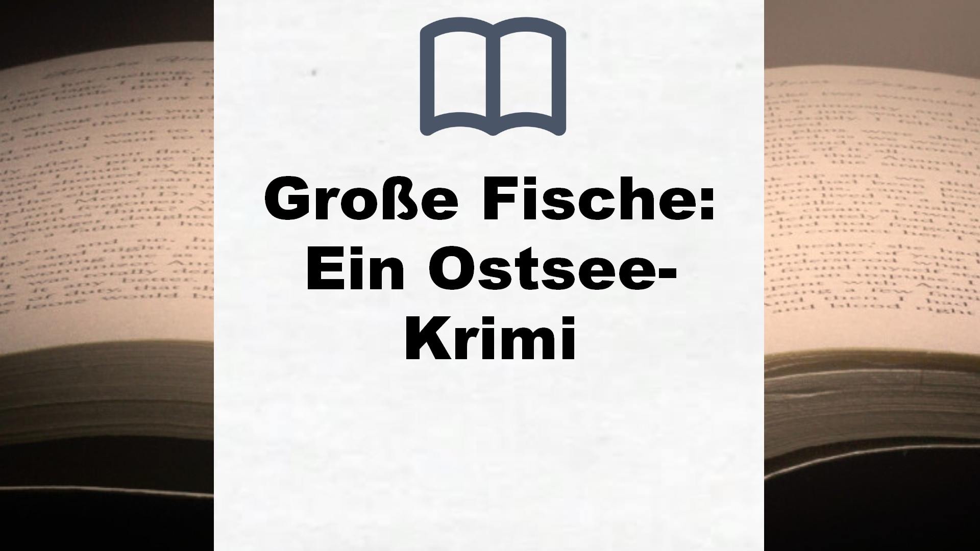 Große Fische: Ein Ostsee-Krimi – Buchrezension