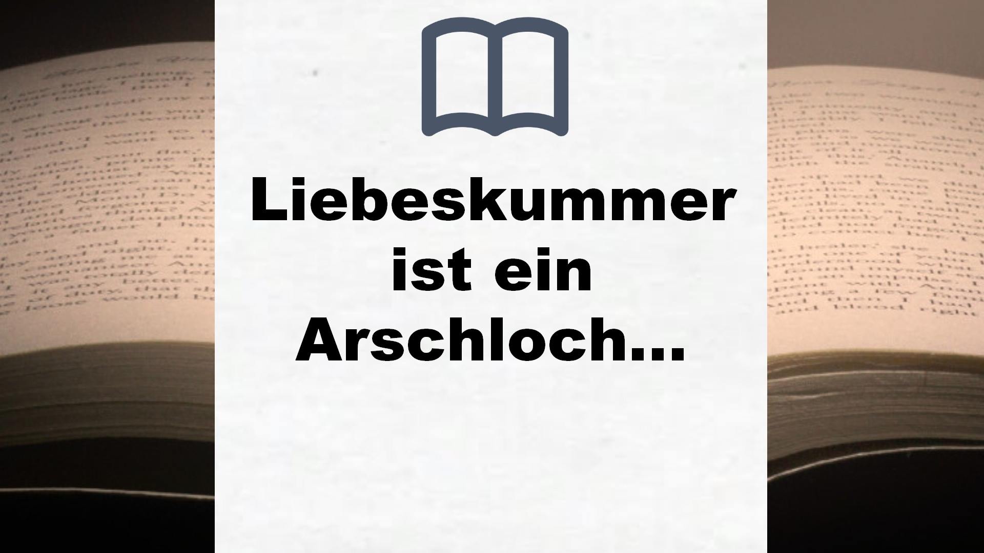 Liebeskummer ist ein Arschloch: Nie wieder Fuckboys | Der knallharte Liebes-Ratgeber von der Monrose-Sängerin Senna Gammour – Buchrezension