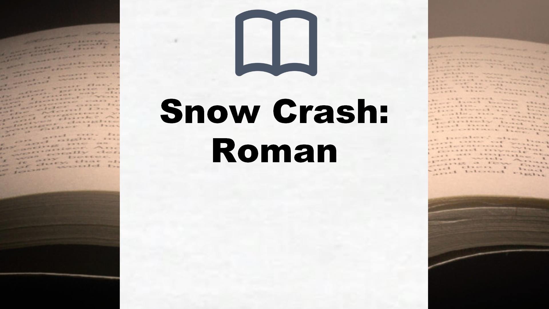 Snow Crash: Roman – Buchrezension