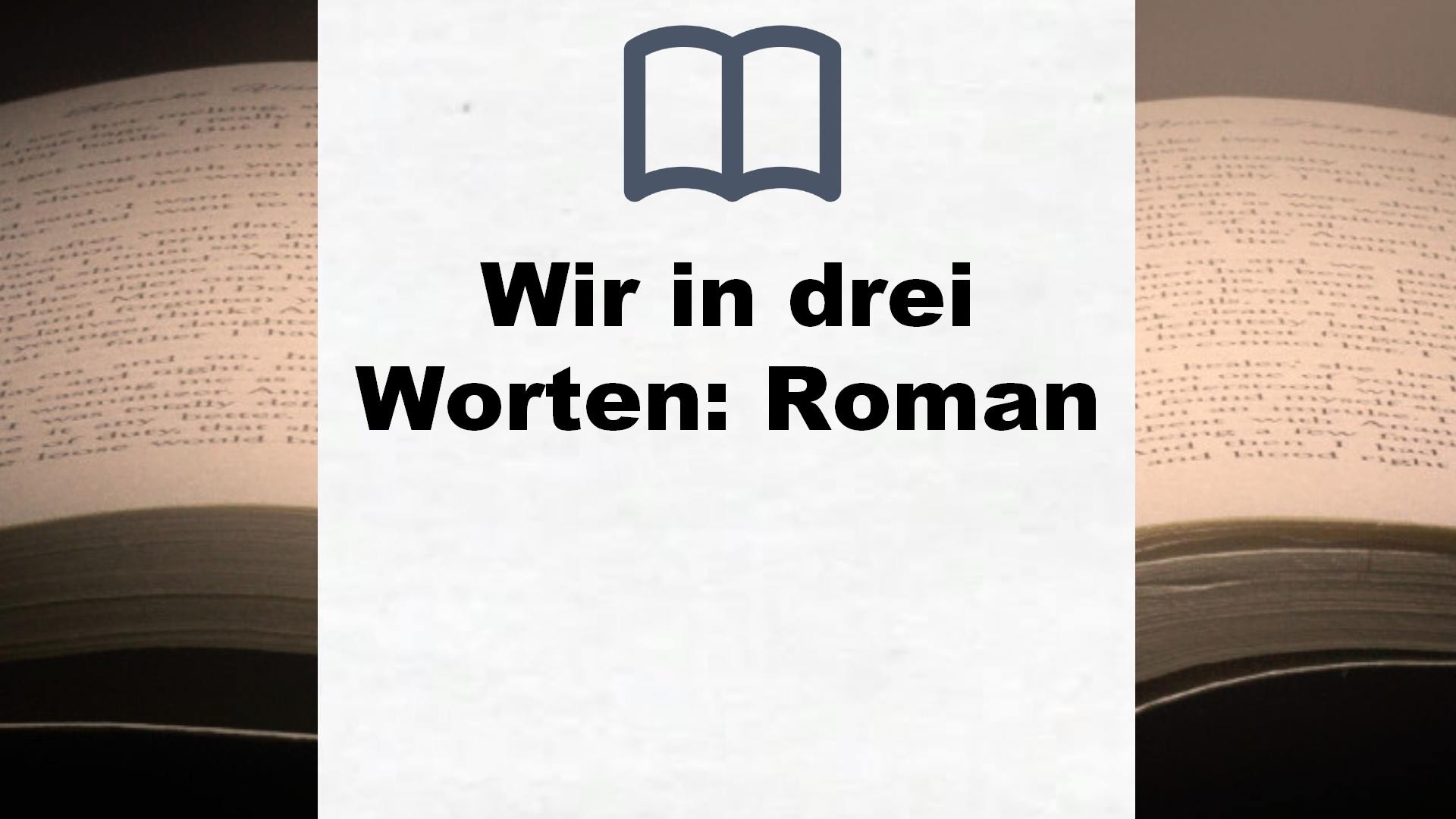 Wir in drei Worten: Roman – Buchrezension